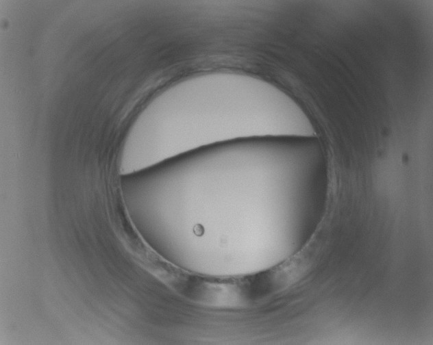 X0000052610167200507010948