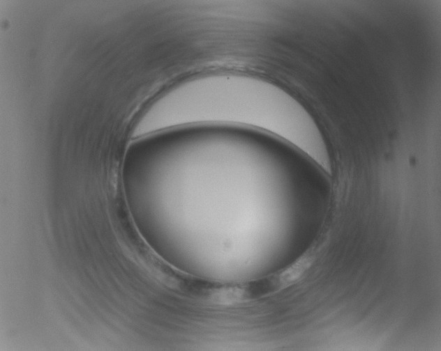 X0000052610168200507010948