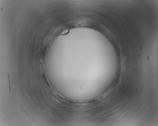 X0000052610169200507010948