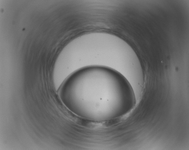 X0000052610170200507010948