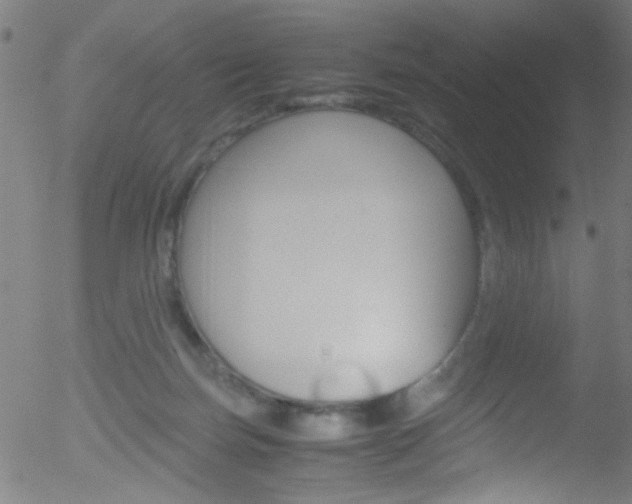 X0000052610171200507010948