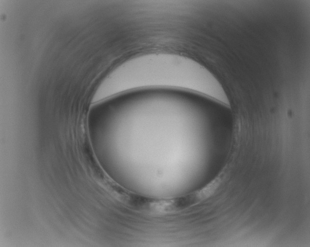 X0000052610172200507010948