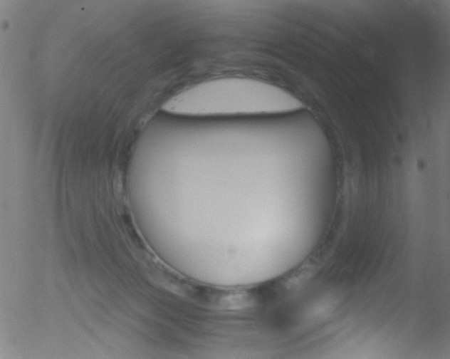 X0000052610173200507010948