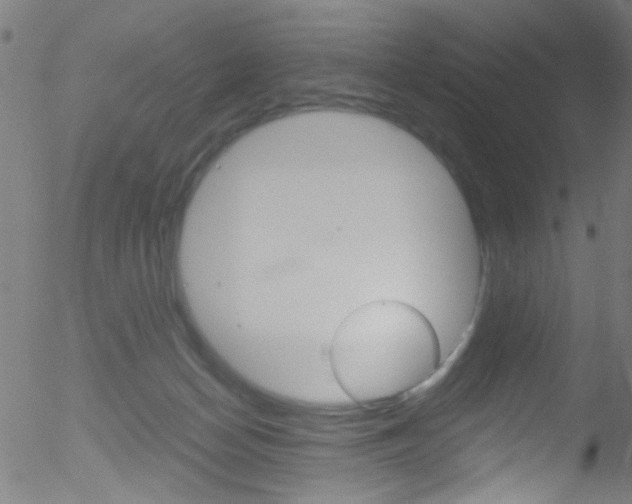 X0000052610174200507010948