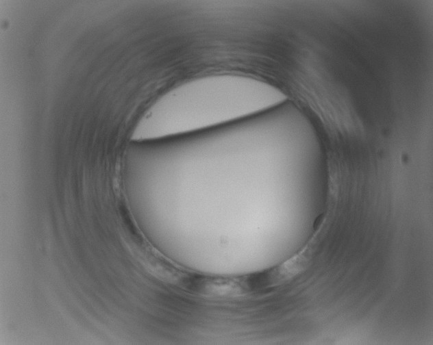 X0000052610175200507010948