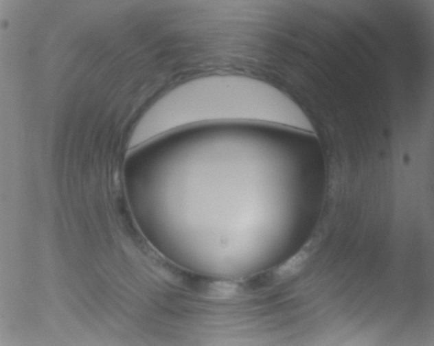 X0000052610176200507010948