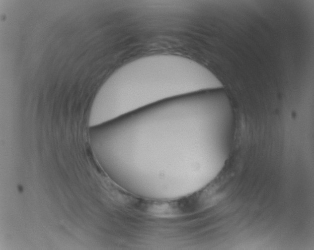 X0000052610177200507010948