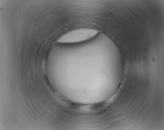 X0000052610178200507010948