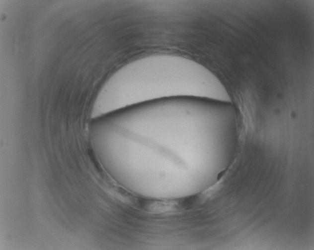 X0000052610179200507010948