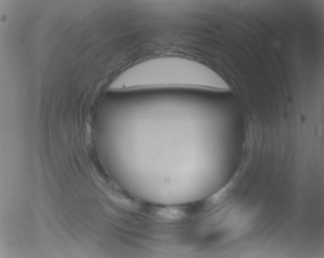 X0000052610183200507010948