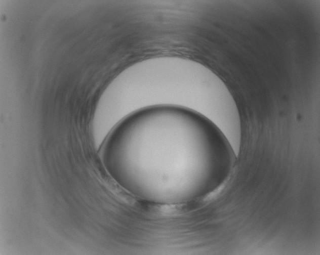 X0000052610184200507010948