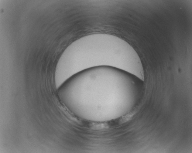 X0000052610185200507010948