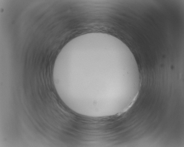 X0000052610186200507010948