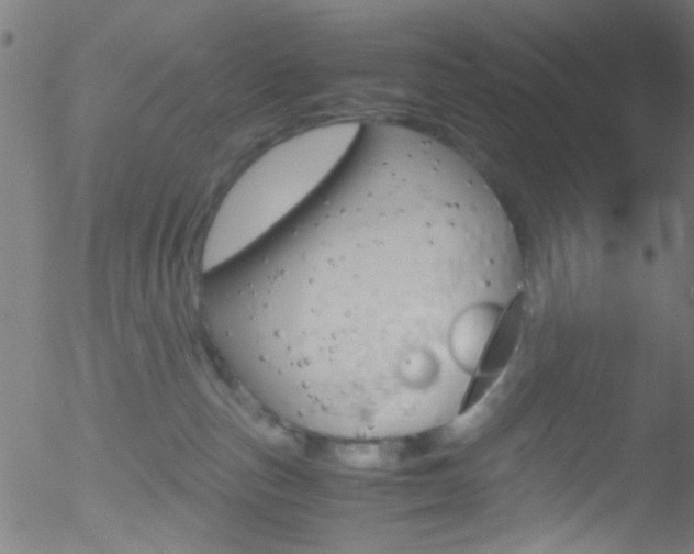 X0000052610187200507010948