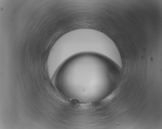 X0000052610188200507010948