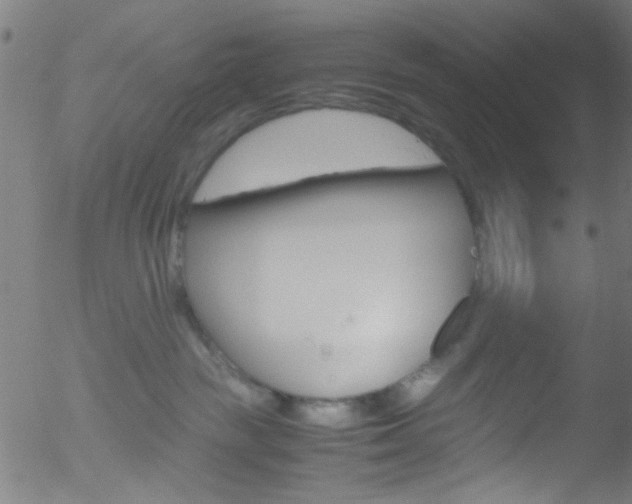 X0000052610189200507010948