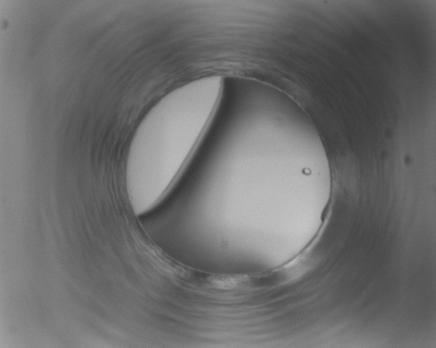 X0000052610190200507010948