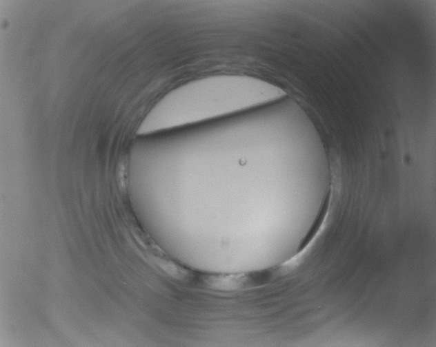 X0000052610191200507010948