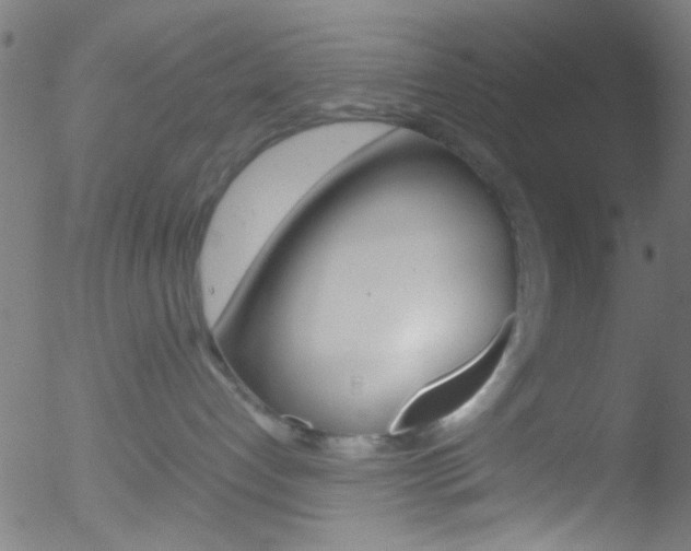 X0000052610192200507010948