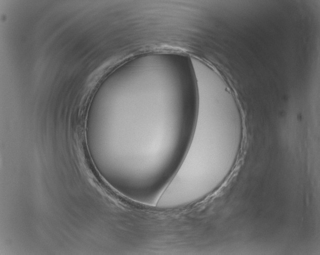 X0000052610193200507010947