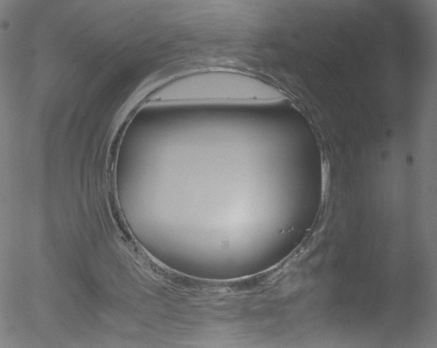 X0000052610195200507010947