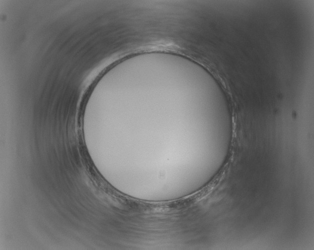 X0000052610196200507010947