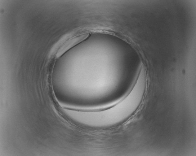 X0000052610197200507010947