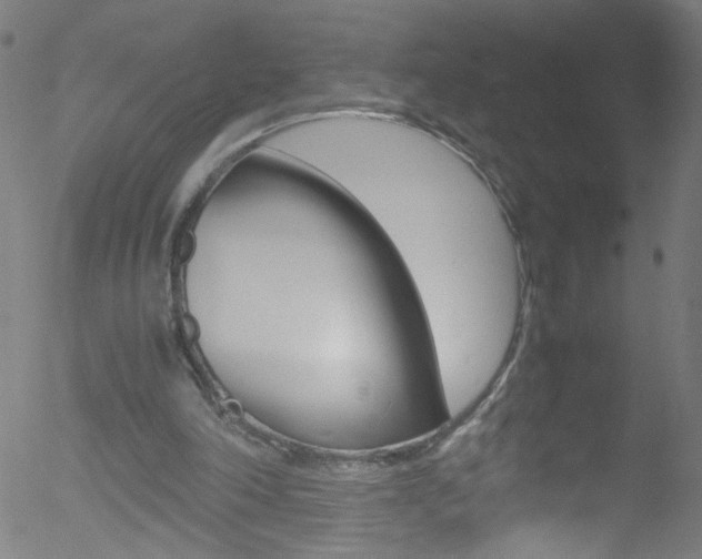 X0000052610198200507010947