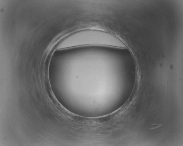 X0000052610199200507010947