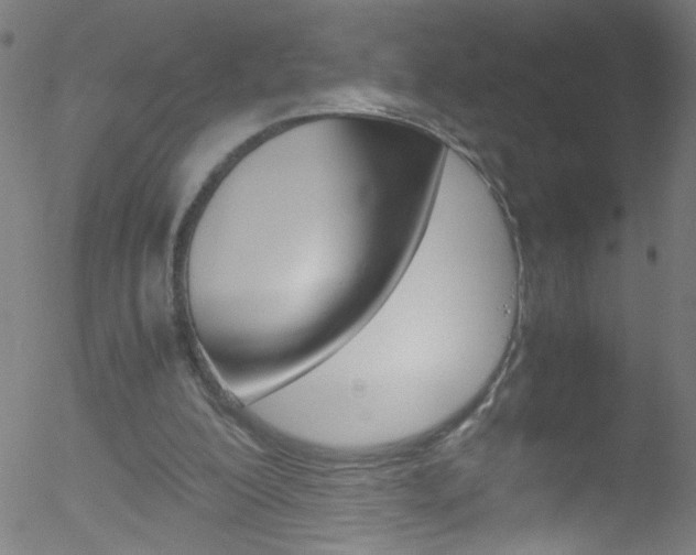 X0000052610200200507010947