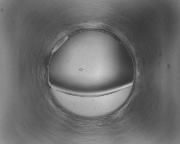 X0000052610201200507010947