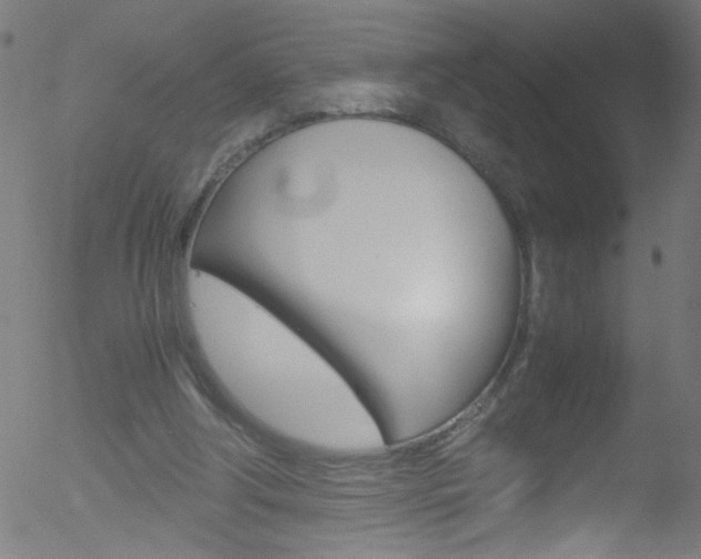 X0000052610202200507010947