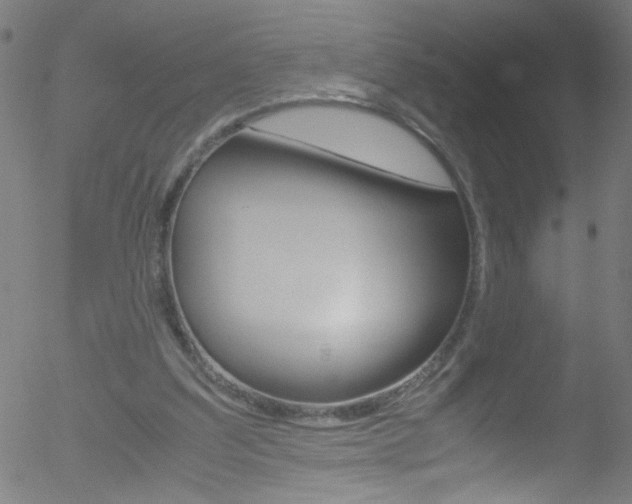 X0000052610203200507010947