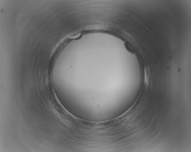 X0000052610204200507010947