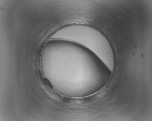 X0000052610205200507010947