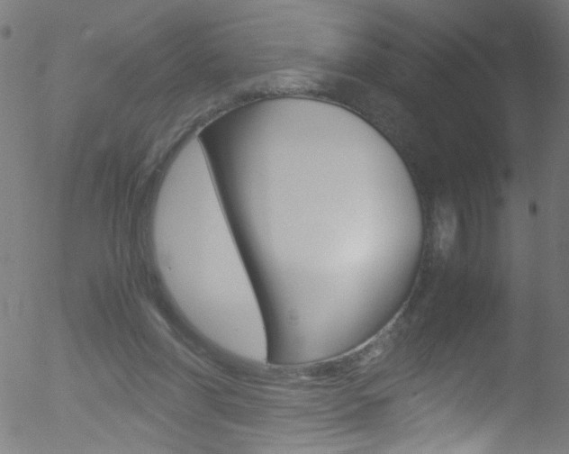 X0000052610206200507010947