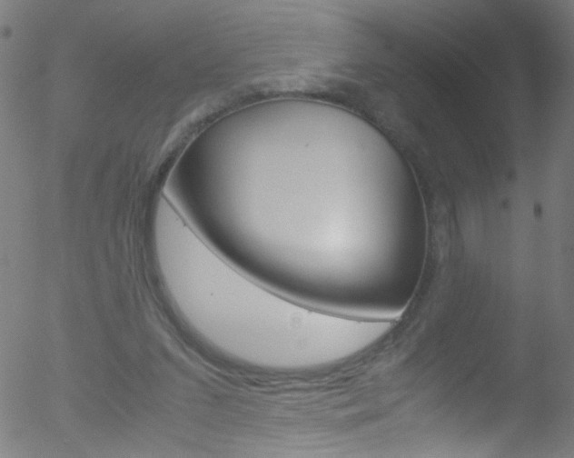 X0000052610207200507010947