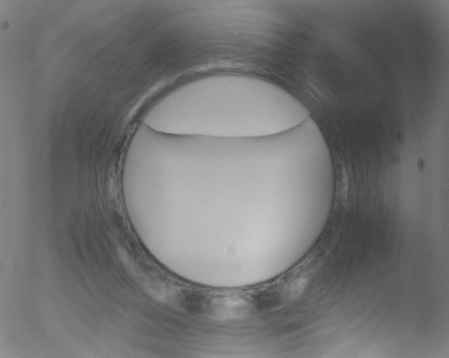 X0000052610208200507010947