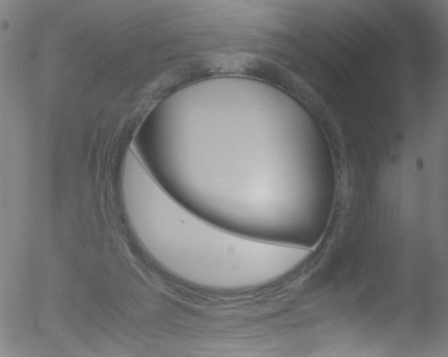 X0000052610209200507010947