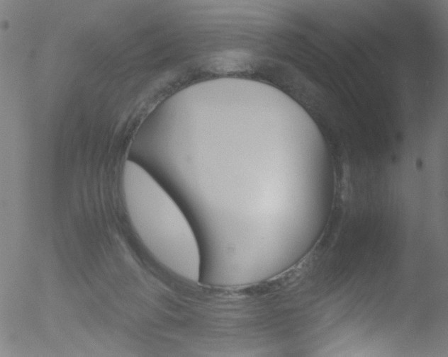 X0000052610210200507010947