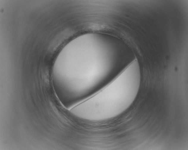 X0000052610212200507010947