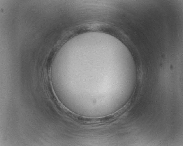 X0000052610213200507010947