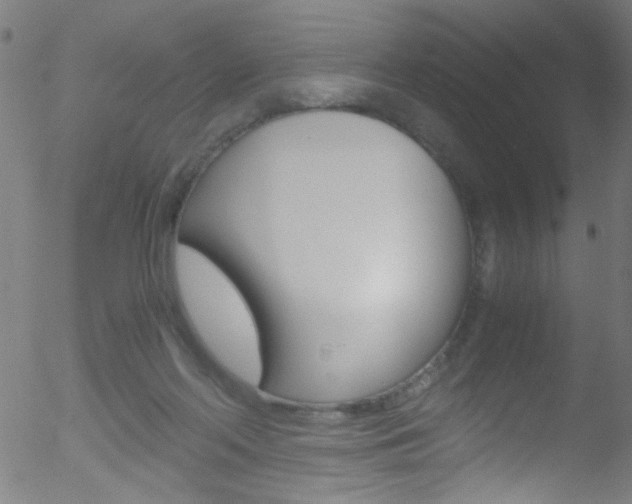 X0000052610214200507010947