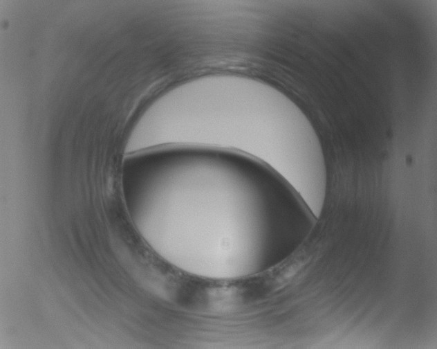 X0000052610216200507010947