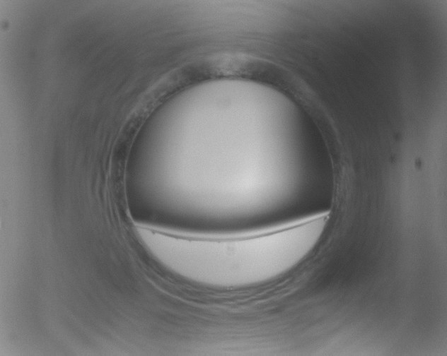 X0000052610217200507010947