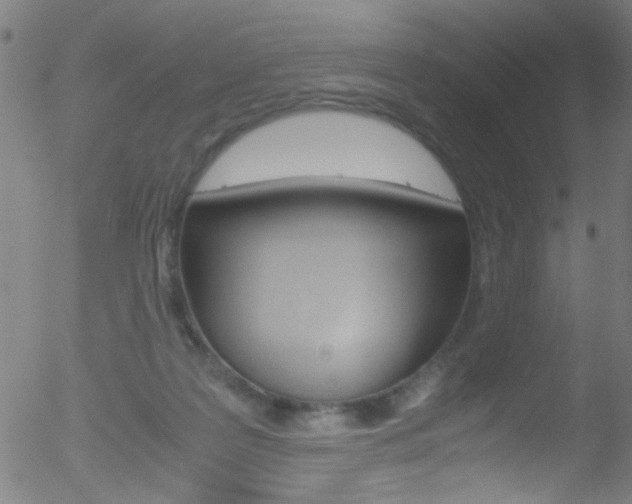 X0000052610219200507010947