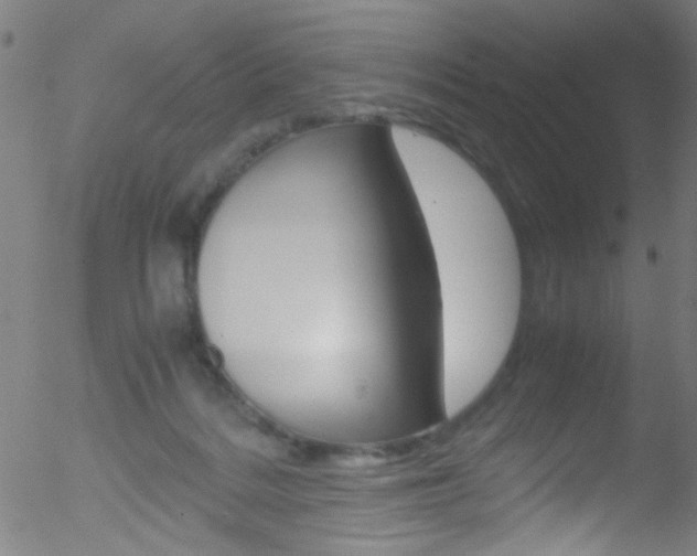 X0000052610220200507010947