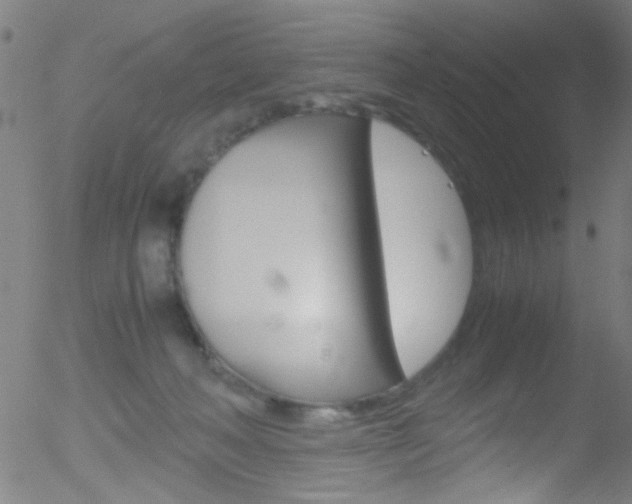 X0000052610222200507010947