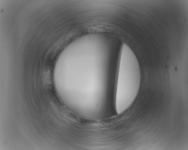 X0000052610224200507010947