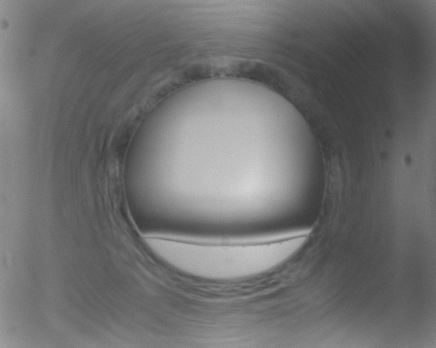 X0000052610225200507010947